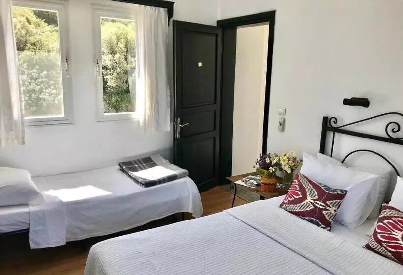 Camera Standard con Balcone, Villa Tokur