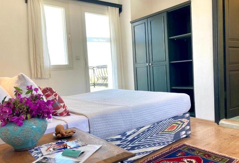 غرفة قياسية مزوَّدة بشُرفة, Villa Tokur