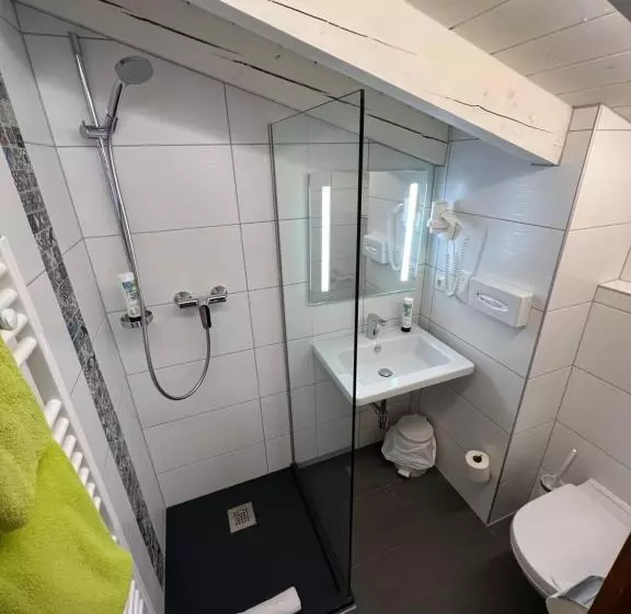 エコノミーシングルルーム, Alpenhotel Tyrol   Konzepthotel   Adults Only
