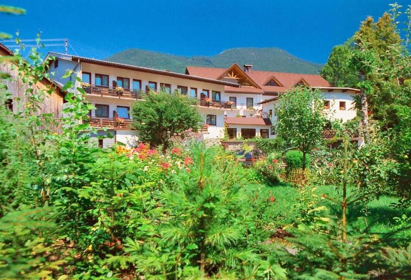 Апартаменты 1 Спальня, Alpenpension Birkenhof