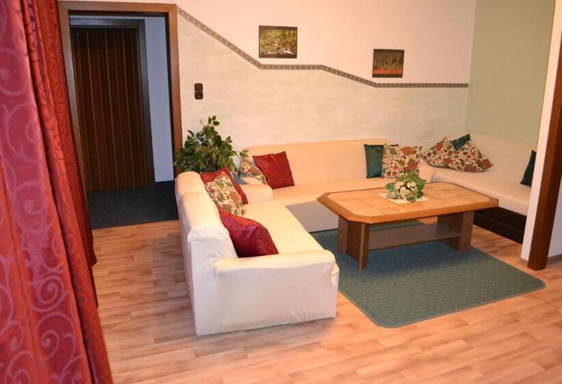 Апартаменты 1 Спальня, Alpenpension Birkenhof