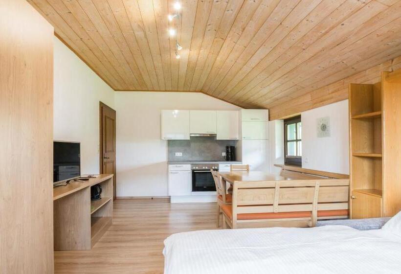 شقة ديلوكس غرفة واحدة, Appartements Tannenhof