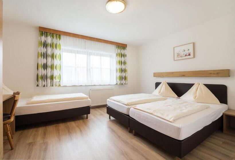 شقة ديلوكس غرفة واحدة, Appartements Tannenhof