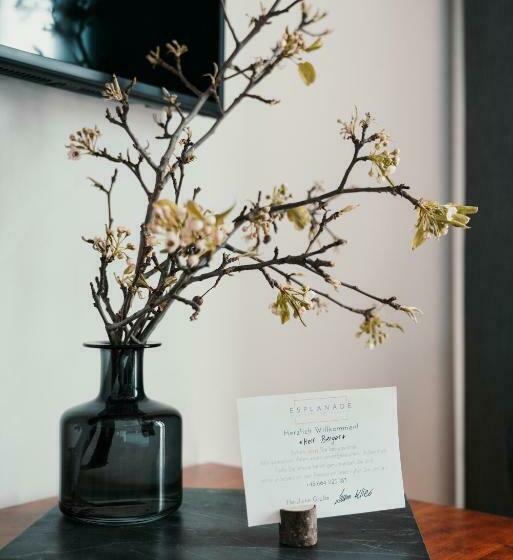 标准间带湖景, Esplanade