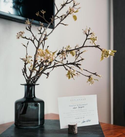 带城市景观的标准间, Esplanade