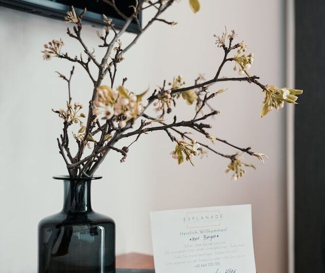 标准间带湖景, Esplanade