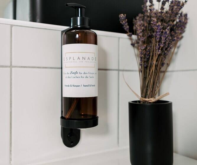 标准间带湖景, Esplanade