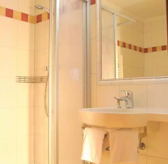 Deluxe-huone, Lohninger Schober