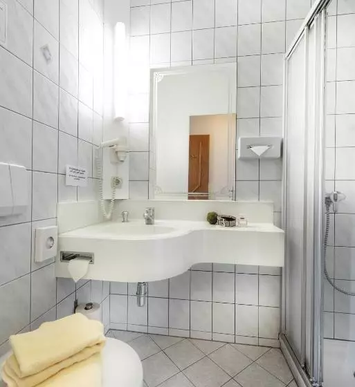 Standard Yhden Hengen Huone, Lohninger Schober