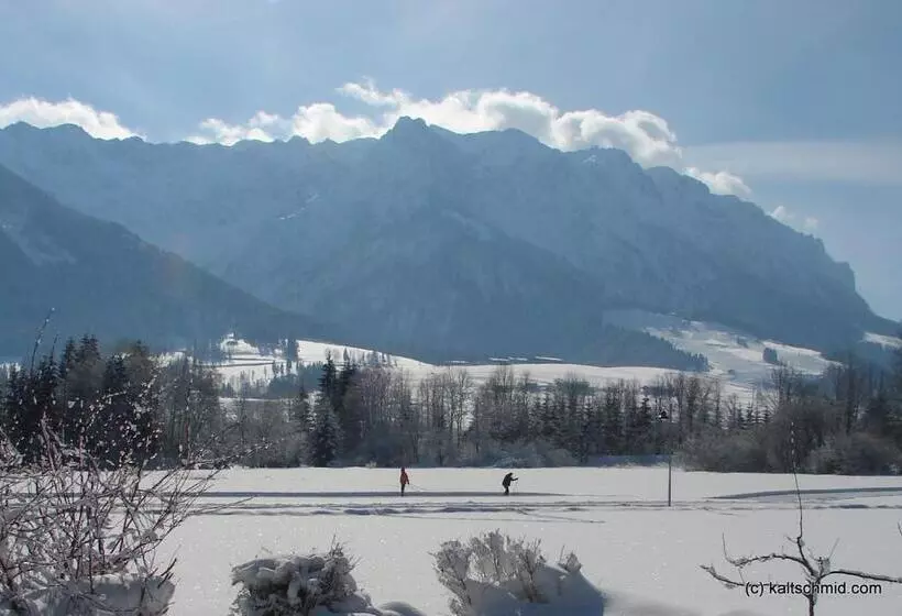 レイクビュースタンダードルーム, Sonnenhof Walchsee