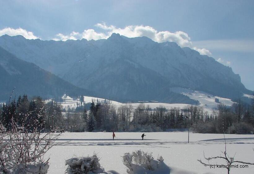 1 Bedroom Apartment Lake View, Sonnenhof Walchsee