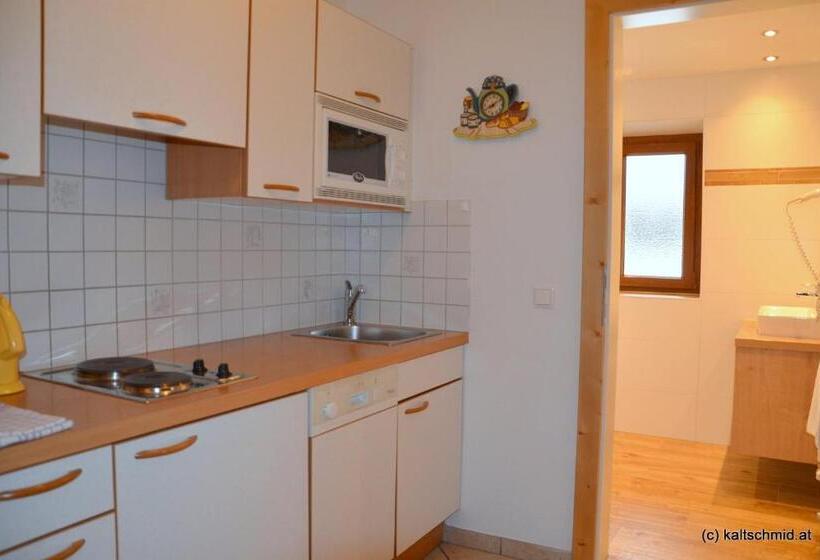 1 Bedroom Apartment Mountain View, Sonnenhof Walchsee