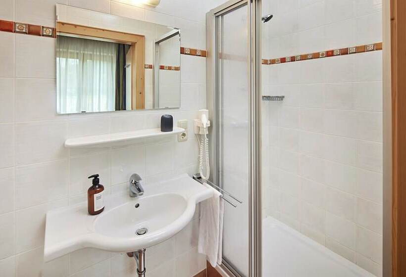 Habitación Estàndard Individual, Gasthof Siggen