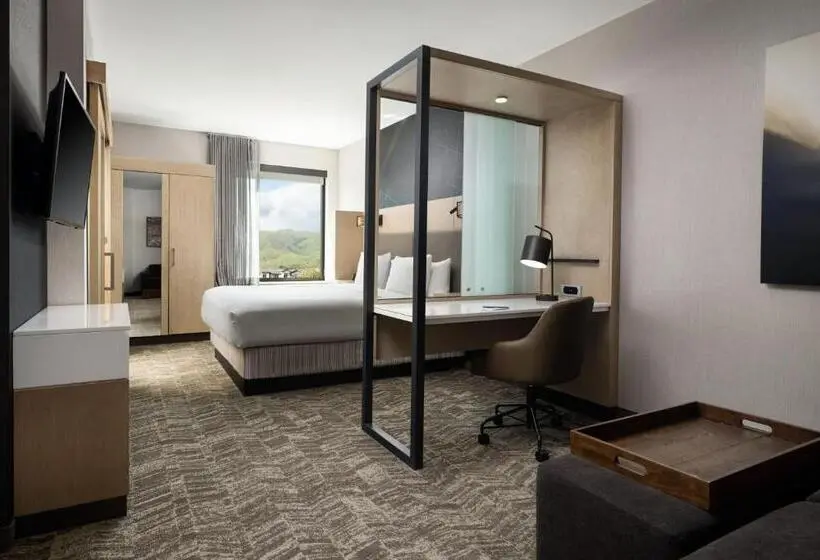 キングサイズベッドのスイートルーム, Springhill Suites By Marriott Milpitas Silicon Valley