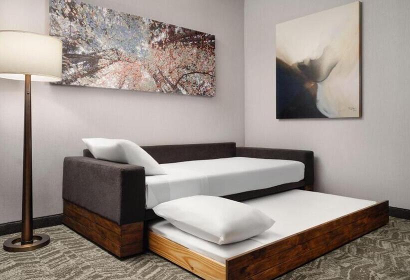 스위트 퀸침대, Springhill Suites By Marriott Milpitas Silicon Valley