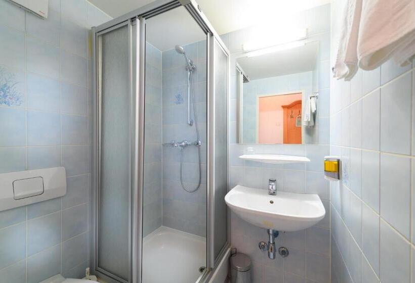 Номер Economy Индивидуальный, Batzenhäusl