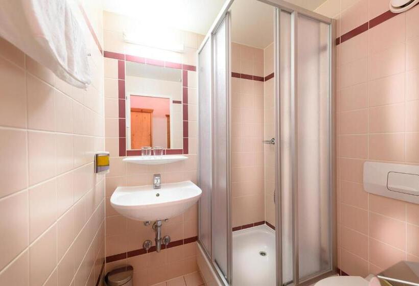 Номер Стандарт, Batzenhäusl