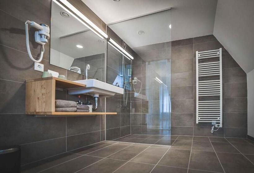 חדר סופריור, Schloss Haindorf