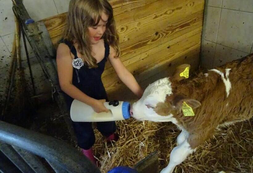 舒适两卧公寓, Waldschönau