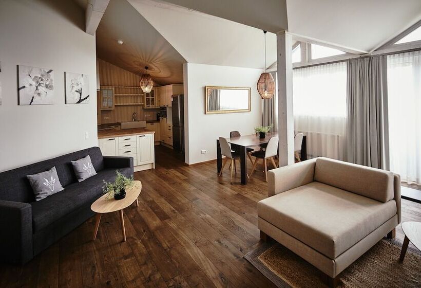 带1个卧室的顶楼公寓, Gerl