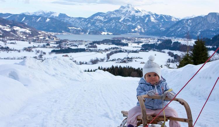 سوییت, Panorama Hotel Gasthof Leidingerhof