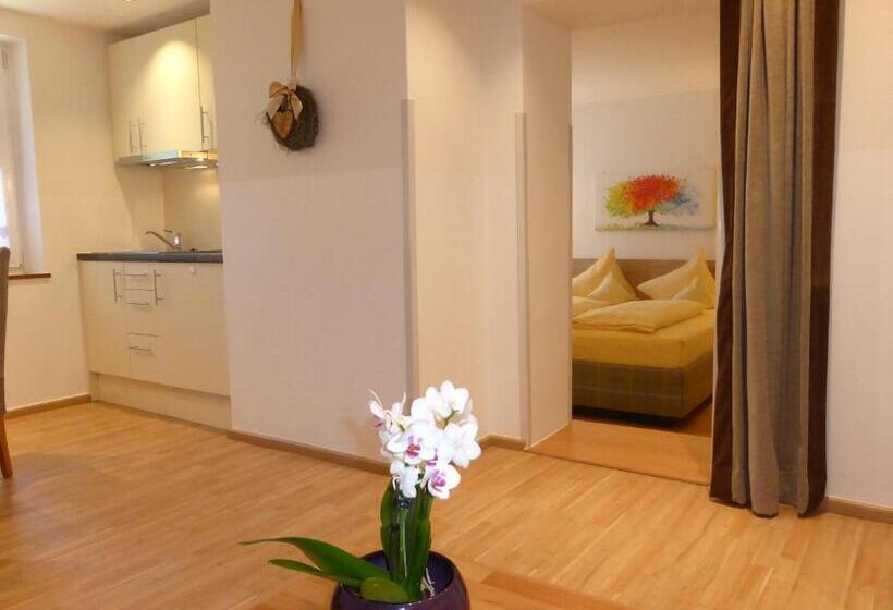 带1个卧室的公寓, Pension Falkensteiner