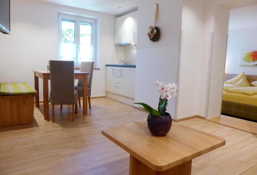 带1个卧室的公寓, Pension Falkensteiner