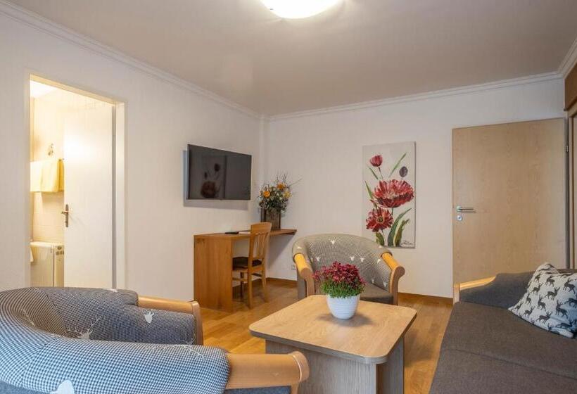 带2个卧室的公寓, Pension Falkensteiner