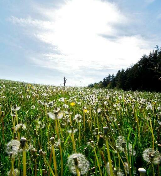 חדר סטנדרט עם מרפסת, Pension Gertraud