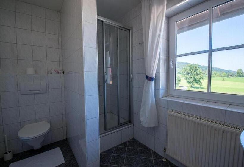 Апартаменты 1 Спальня, Pension Zenzlgut