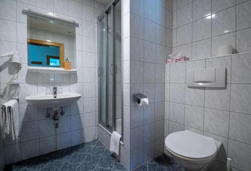 Апартаменты 1 Спальня, Pension Zenzlgut