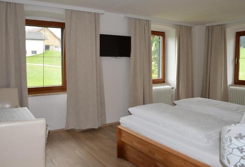 Номер Стандарт, Pension Zenzlgut