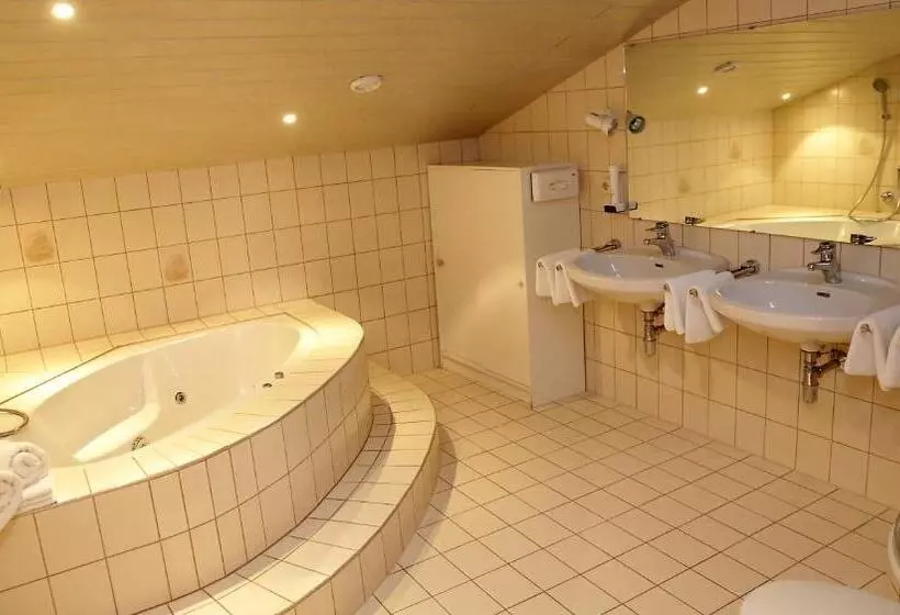3ベッドルームのコンフォートアパートメント, Berghotel Hois