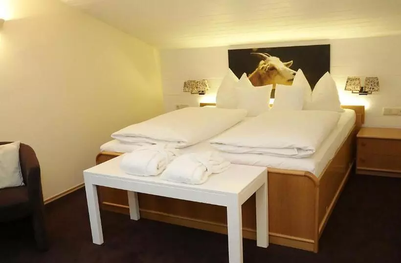 3ベッドルームのコンフォートアパートメント, Berghotel Hois