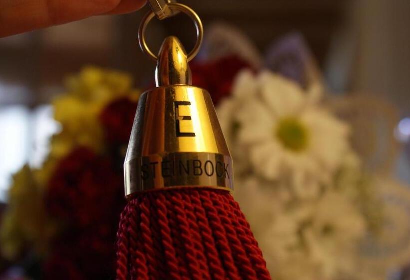 شقة عائلية مع بلكونة, Berghotel Hois