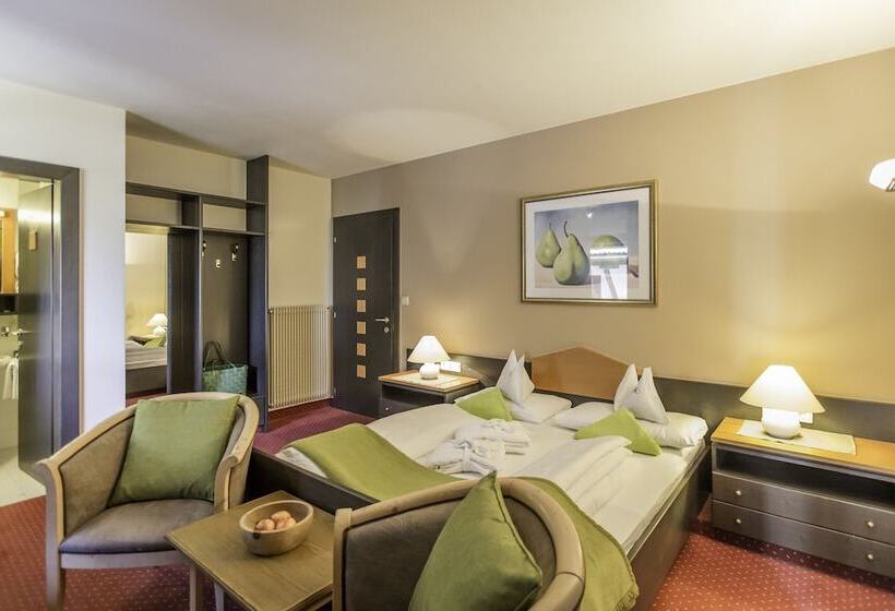 标准间带阳台, Alphotel Stocker Alpine Wellness