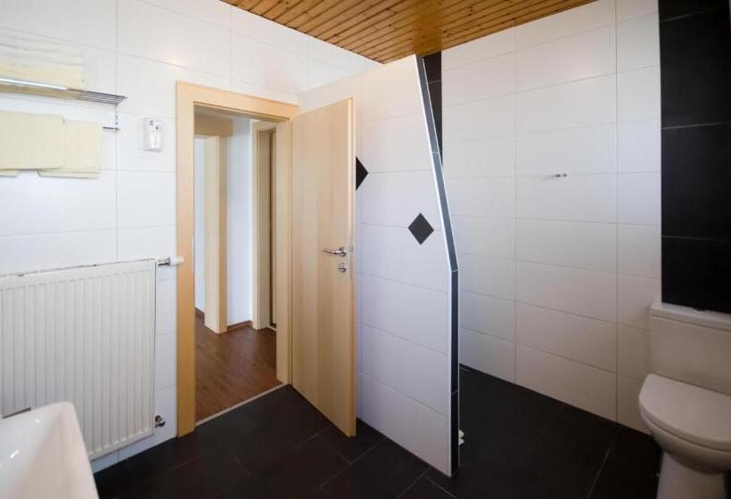 Апартаменты 2 Спальни, Familienhotel Steindl
