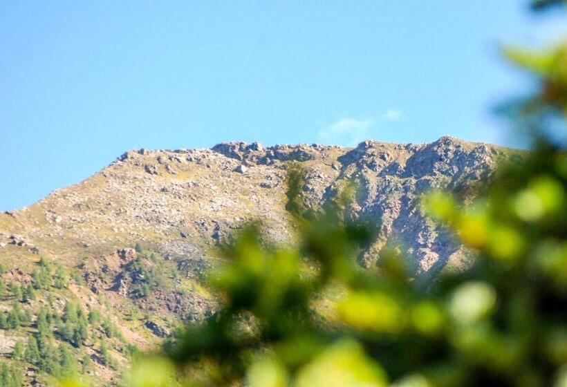 スタンダードルーム, Garni Burger