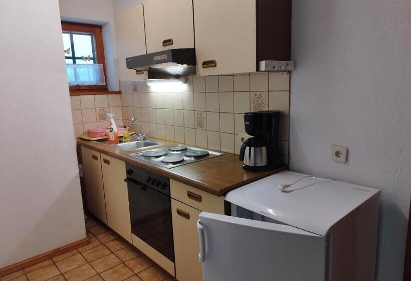 Апартаменты 1 Спальня с Террасой, Grundnerhof