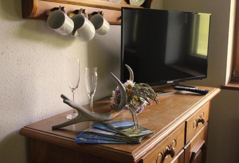 Апартаменты 1 Спальня с Террасой, Grundnerhof