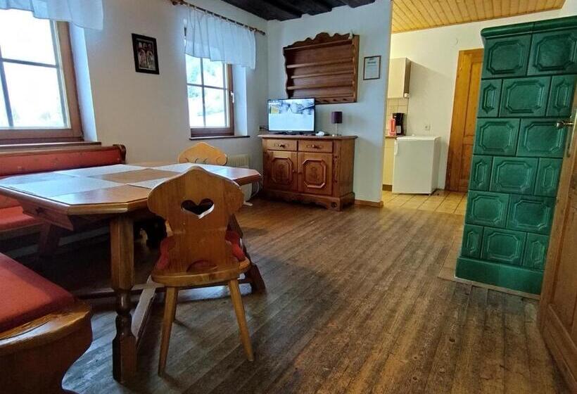 Апартаменты 1 Спальня с Террасой, Grundnerhof