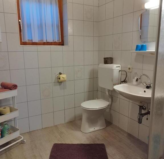 Апартаменты 1 Спальня с Террасой, Grundnerhof