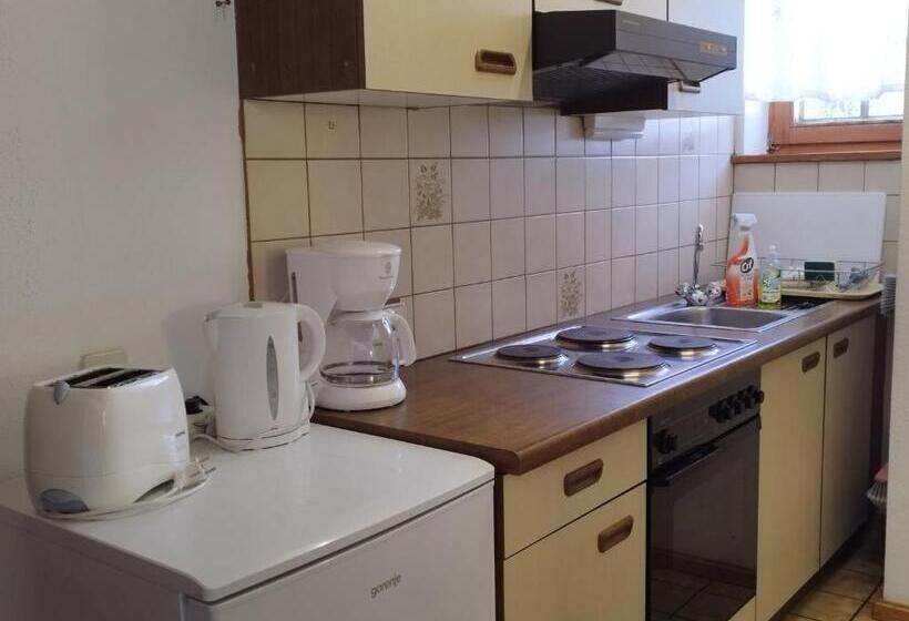 Апартаменты 1 Спальня с Террасой, Grundnerhof