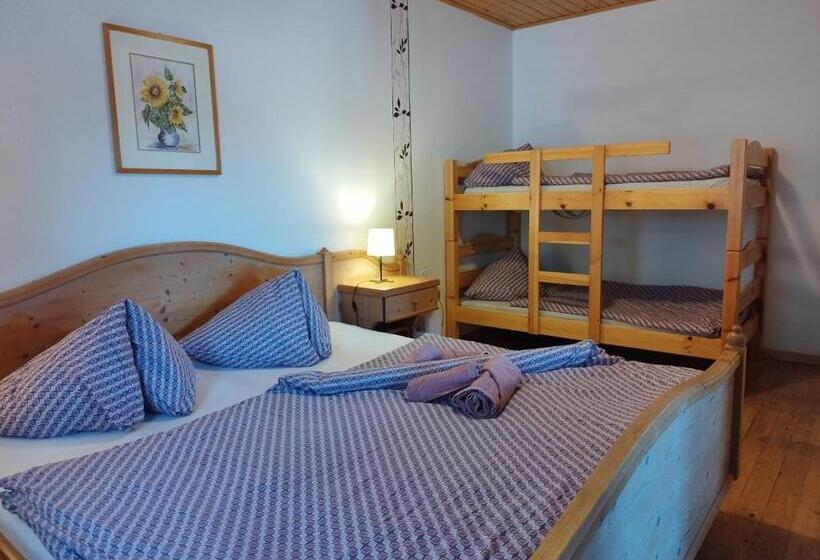 Апартаменты 1 Спальня с Террасой, Grundnerhof