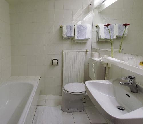 Номер Стандарт Индивидуальный, Hecher