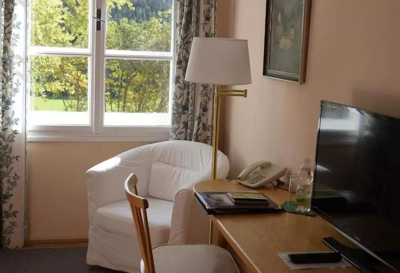 スタンダードシングルルーム, Landsitz Pichlschloss