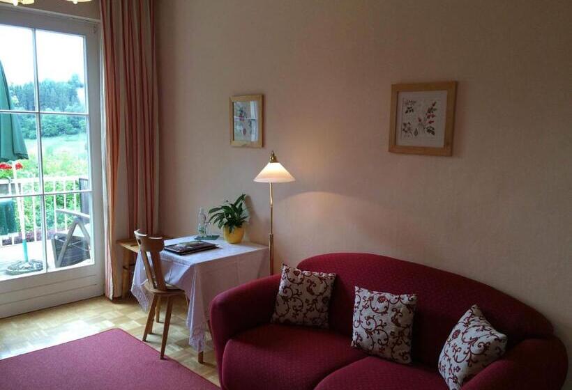 标准单人间, Landsitz Pichlschloss