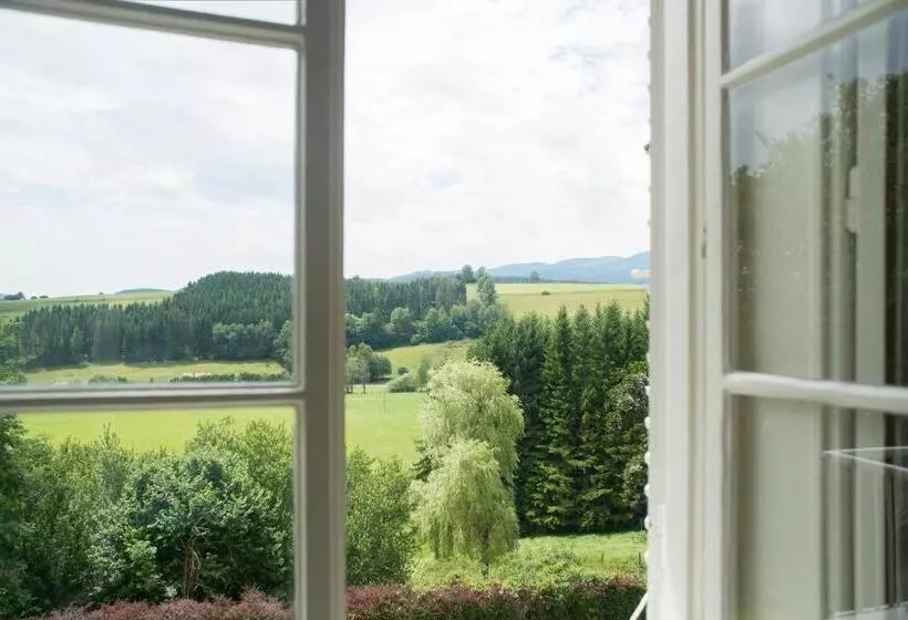 スタンダードシングルルーム, Landsitz Pichlschloss