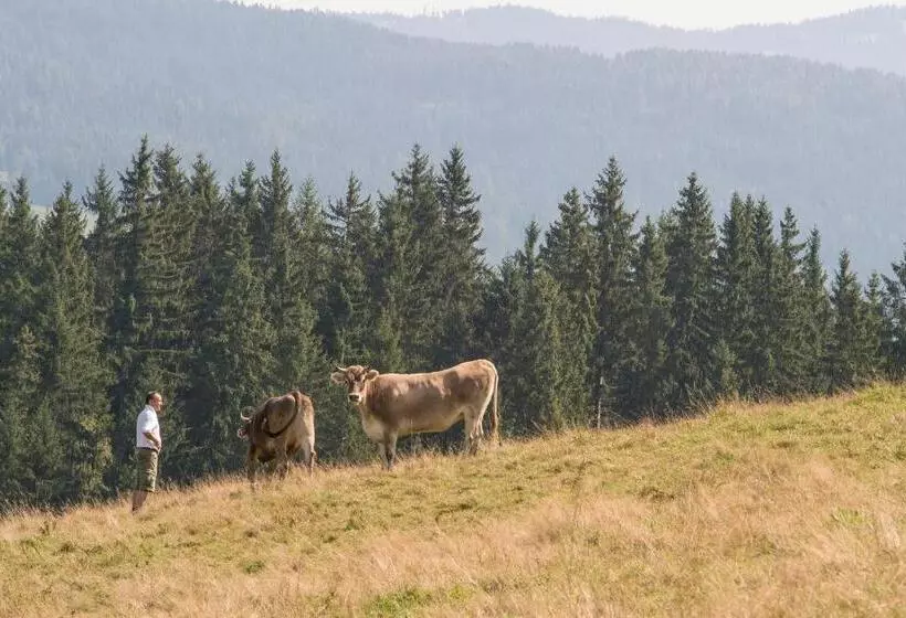 １ベッドルームアパートメント, Landsitz Pichlschloss