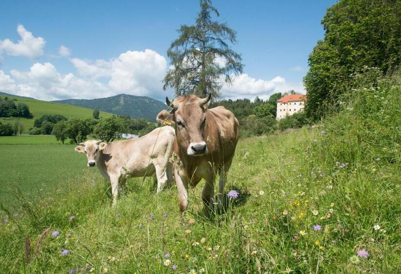 带1个卧室的公寓, Landsitz Pichlschloss
